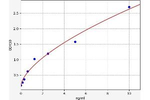 Typical standard curve (PKC gamma Kit ELISA)