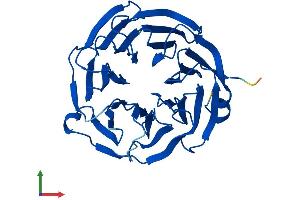 AlphaFold protein structure predicition of Human Recombinant WDR82 Protein, UniprotID Q6UXN9