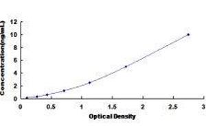ELISA image for Brain-Derived Neurotrophic Factor (BDNF) ELISA Kit (ABIN414342)
