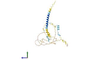 AlphaFold protein structure predicition of Mouse Recombinant Pmepa1 Protein, UniprotID Q9D7R2