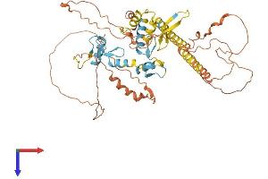 AlphaFold protein structure predicition of Human Recombinant IKZF3 Protein, UniprotID Q9UKT9