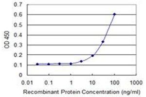 Detection limit for recombinant GST tagged TXNDC4 is 1 ng/ml as a capture antibody.