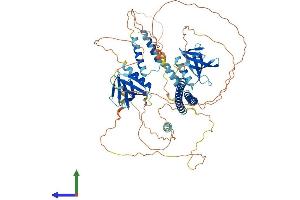 AlphaFold protein structure predicition of Human Recombinant AFAP1 Protein, UniprotID Q8N556