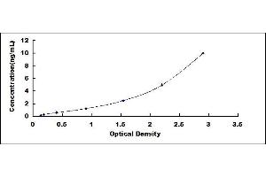 Coactosin-Like Protein ELISA Kit