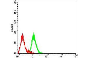 Flow cytometric analysis of Raji cells using CD305 mouse mAb (green) and negative control (red).