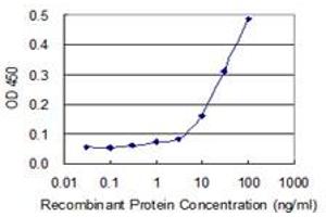 Detection limit for recombinant GST tagged AUH is 3 ng/ml as a capture antibody. (AUH anticorps  (AA 44-135))