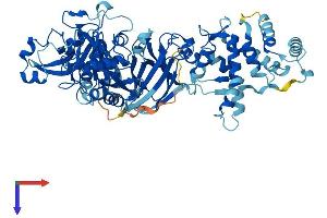 AlphaFold protein structure predicition of Mouse Recombinant Capn9 Protein, UniprotID Q9D805