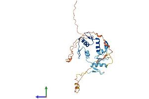 AlphaFold protein structure predicition of Human Recombinant SNAI2 Protein, UniprotID O43623