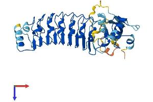 AlphaFold protein structure predicition of Mouse Recombinant Lrrc28 Protein, UniprotID Q3TX51