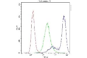 Flow Cytometry analysis of U251 cells using anti-PPP1R12A antibody (ABIN3043902). (PPP1R12A anticorps  (N-Term))