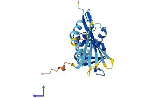 AlphaFold protein structure predicition of Mouse Recombinant Kctd6 Protein, UniprotID Q8BNL5
