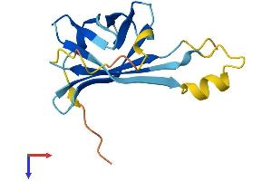 AlphaFold protein structure predicition of Human Recombinant TCL1B Protein, UniprotID O95988