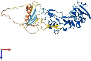 AlphaFold protein structure predicition of Human Recombinant ADAM5 Protein, UniprotID Q6NVV9