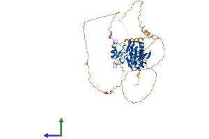 AlphaFold protein structure predicition of Mouse Recombinant Cpeb2 Protein, UniprotID Q812E0