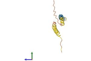 AlphaFold protein structure predicition of Human Recombinant RPRM Protein, UniprotID Q9NS64