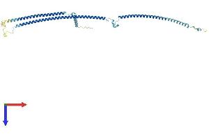 AlphaFold protein structure predicition of Mouse Recombinant Ribc1 Protein, UniprotID Q9D0B8