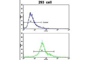 Flow cytometric analysis of 293 cells using EMILIN1 Antibody (N-term)(bottom histogram) compared to a negative control cell (top histogram). (Emilin1 anticorps  (N-Term))