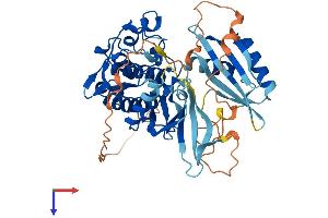 AlphaFold protein structure predicition of Mouse Recombinant Chek1 Protein, UniprotID O35280
