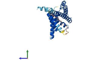 AlphaFold protein structure predicition of Mouse Recombinant Pex11b Protein, UniprotID Q9Z210