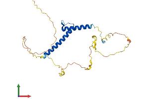 AlphaFold protein structure predicition of Mouse Recombinant Bhlha9 Protein, UniprotID Q5RJB0