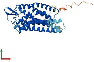 AlphaFold protein structure predicition of Human Recombinant FFAR1 Protein, UniprotID O14842