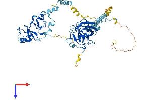 AlphaFold protein structure predicition of Mouse Recombinant Ppil2 Protein, UniprotID Q9D787