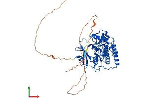 AlphaFold protein structure predicition of Human Recombinant CSNK1G1 Protein, UniprotID Q9HCP0