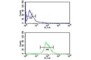 NRP1 antibody flow cytometric analysis of MDA-MB435 cells (green) compared to a negative control (blue).