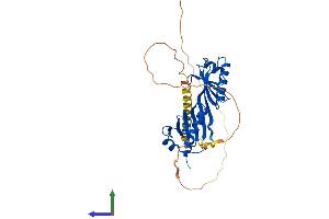 AlphaFold protein structure predicition of Mouse Recombinant Tbp Protein, UniprotID P29037