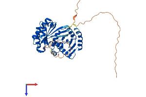 AlphaFold protein structure predicition of Human Recombinant RRAGB Protein, UniprotID Q5VZM2