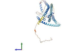 AlphaFold protein structure predicition of Mouse Recombinant Kcnk2 Protein, UniprotID P97438