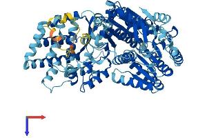 AlphaFold protein structure predicition of Human Recombinant ERCC2 Protein, UniprotID P18074