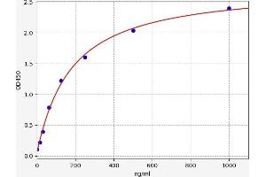 Typical standard curve (GMFB Kit ELISA)