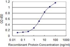 Detection limit for recombinant GST tagged SPRR2F is 0. (SPRR2F anticorps  (AA 1-72))