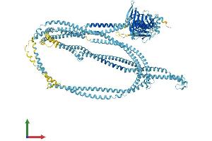 AlphaFold protein structure predicition of Human Recombinant RAD50 Protein, UniprotID Q92878