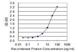 Sandwich ELISA detection sensitivity ranging from 1 ng/mL to 100 ng/mL. (PEPD (Humain) Matched Antibody Pair)