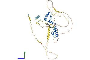 AlphaFold protein structure predicition of Human Recombinant ZNF385C Protein, UniprotID Q66K41