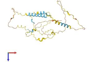 AlphaFold protein structure predicition of Human Recombinant KIAA1191 Protein, UniprotID Q96A73