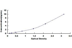 Thyroid Hormone Receptor, beta (THRB) ELISA Kit