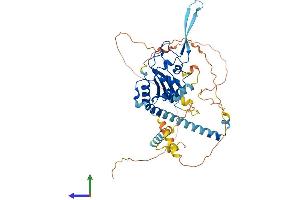 AlphaFold protein structure predicition of Mouse Recombinant Nap1l2 Protein, UniprotID P51860