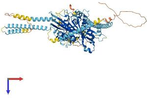 AlphaFold protein structure predicition of Human Recombinant KIF3B Protein, UniprotID O15066