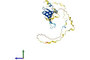 AlphaFold protein structure predicition of Mouse Recombinant Snrpn Protein, UniprotID P63163