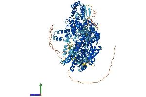 AlphaFold protein structure predicition of Human Recombinant DHX30 Protein, UniprotID Q7L2E3