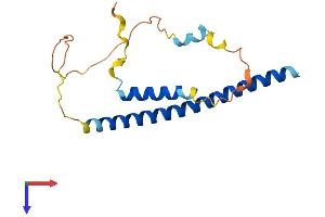 AlphaFold protein structure predicition of Human Recombinant DDIT3 Protein, UniprotID P35638