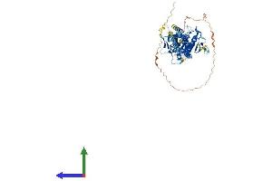 AlphaFold protein structure predicition of Human Recombinant KIFC1 Protein, UniprotID Q9BW19