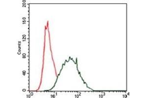 Flow Cytometry (FACS) image for anti-Keratin 5 (KRT5) antibody (ABIN1106933)