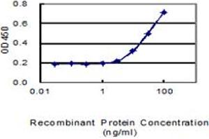 Detection limit for recombinant GST tagged TMCO2 is 1 ng/ml as a capture antibody. (TMCO2 anticorps  (AA 1-182))