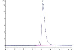 The purity of Human CXCL4L1 is greater than 95 % as determined by SEC-HPLC. (PF4V1 Protein (AA 31-104) (Fc Tag))