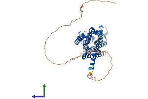 AlphaFold protein structure predicition of Human Recombinant ADORA2A Protein, UniprotID P29274