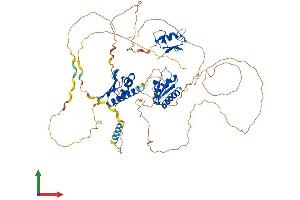 AlphaFold protein structure predicition of Human Recombinant MEX3D Protein, UniprotID Q86XN8